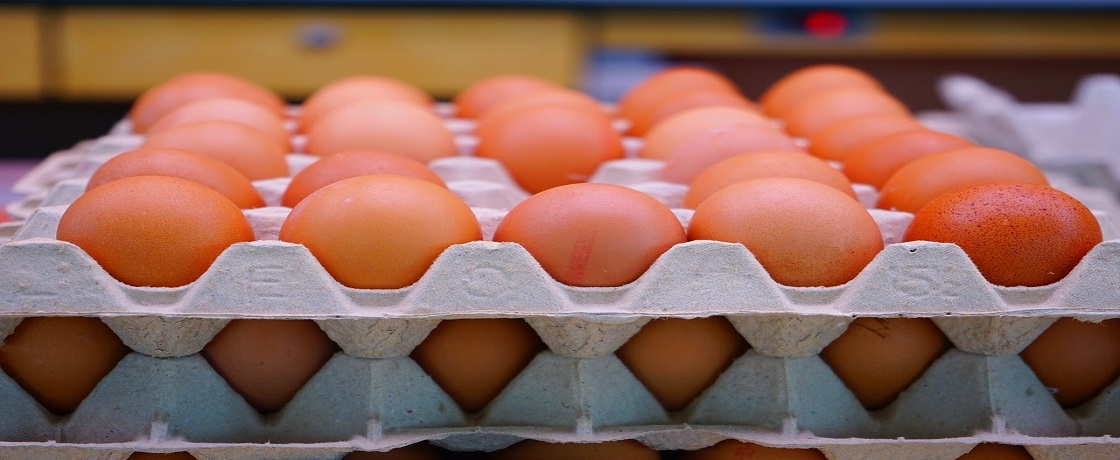 yumurta kaç kalori, yumurta besin değeri, yumurta faydaları, yumurta sporcu