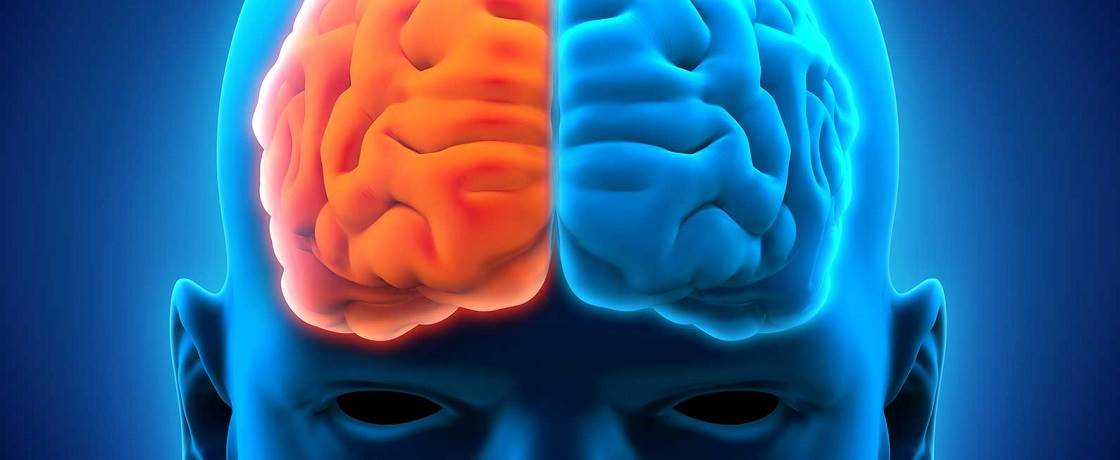 nörolog nöroloji beyin sinir zeka akıl hafıza