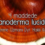 reishi mantarı ganoderma lucidum lingzhi (3)